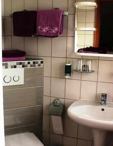 بيت ضيافة Gaeste-haus Roesch 3*